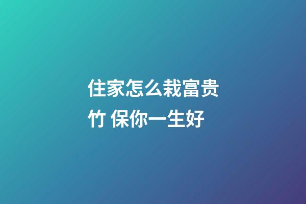 住家怎么栽富贵竹 保你一生好